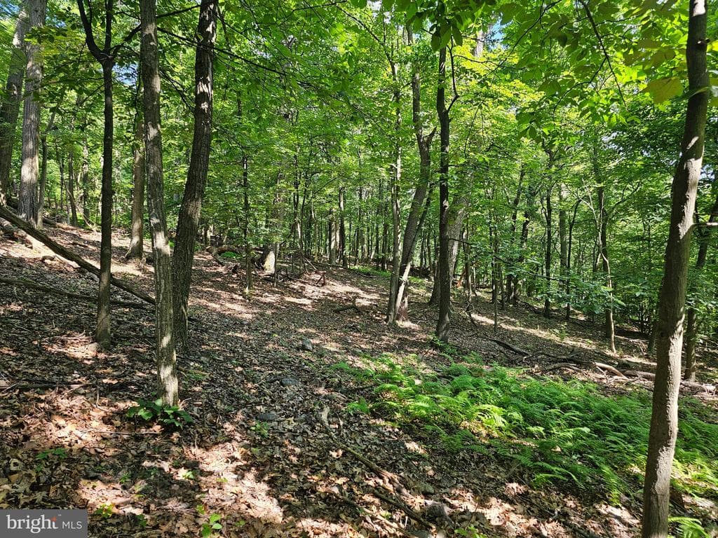 Property photo #24 for 14.25+/- Acres off Dry Run Rd, Mercersburg, PA 17236