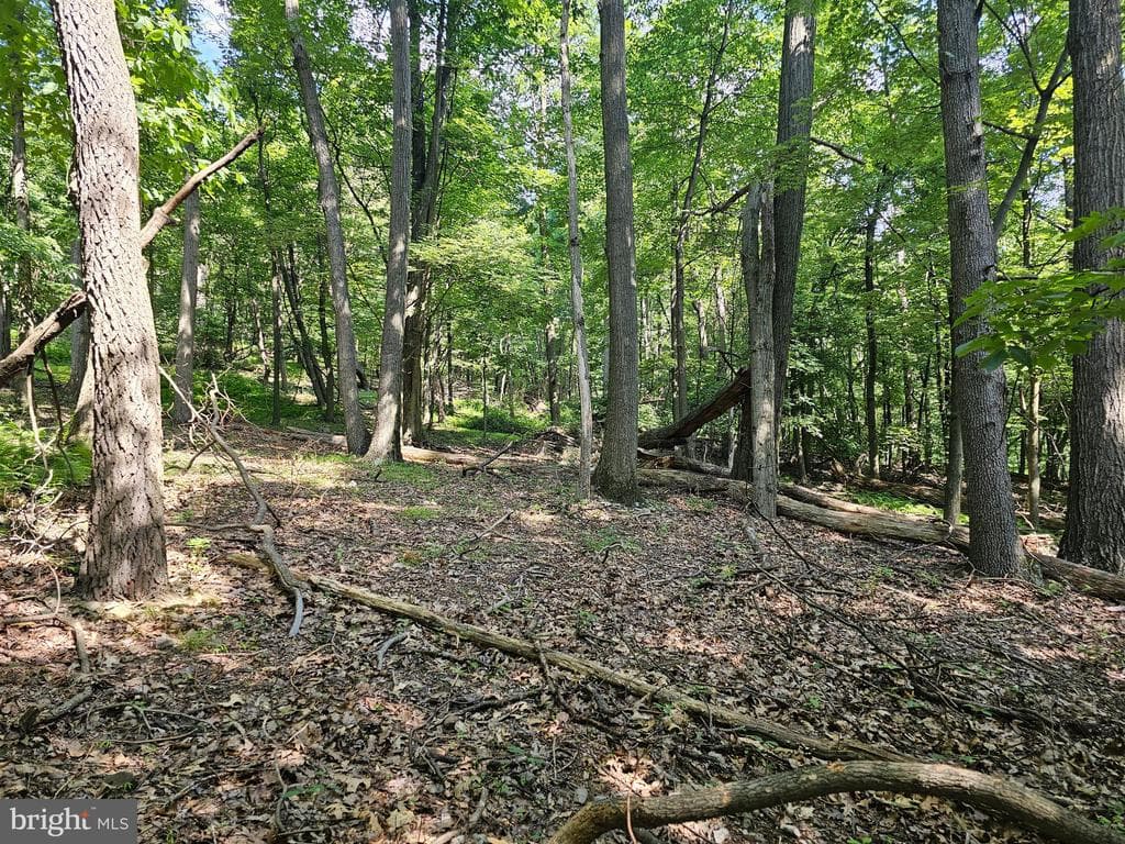 Property photo #25 for 14.25+/- Acres off Dry Run Rd, Mercersburg, PA 17236