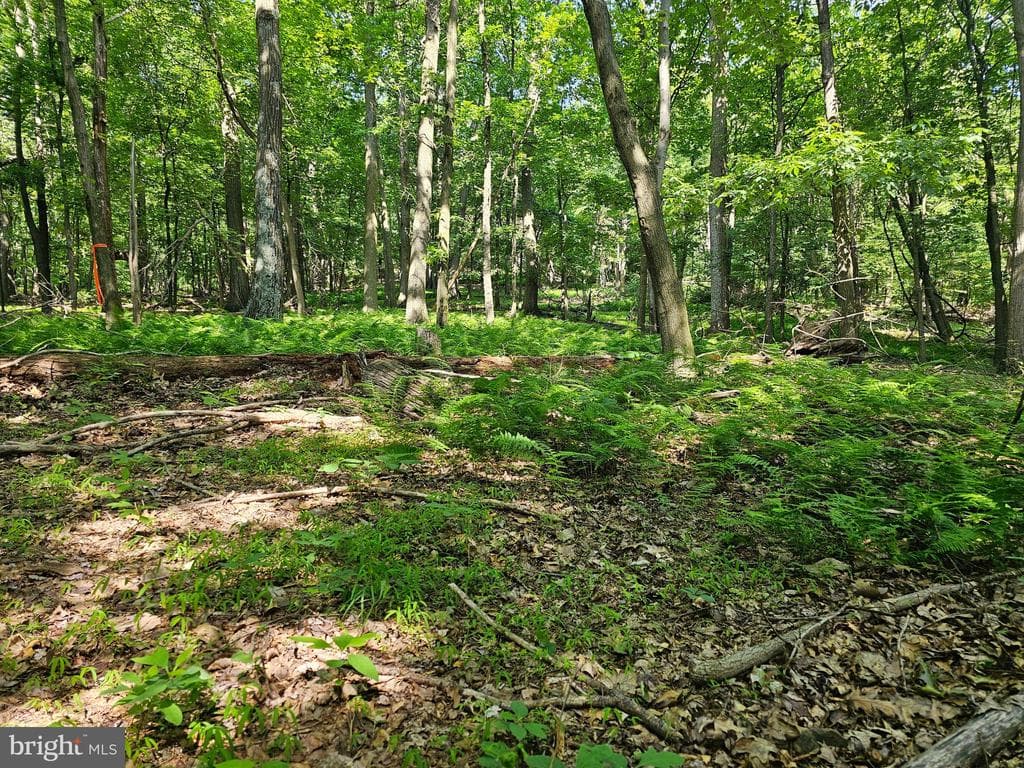 Property photo #26 for 14.25+/- Acres off Dry Run Rd, Mercersburg, PA 17236