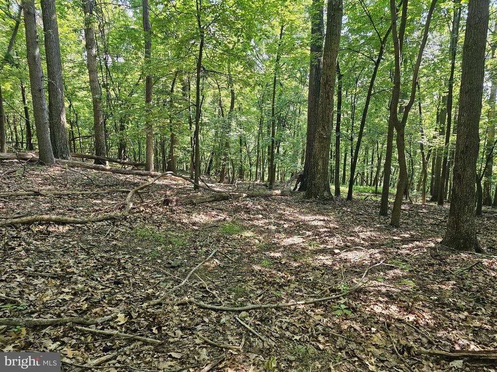 Property photo #27 for 14.25+/- Acres off Dry Run Rd, Mercersburg, PA 17236
