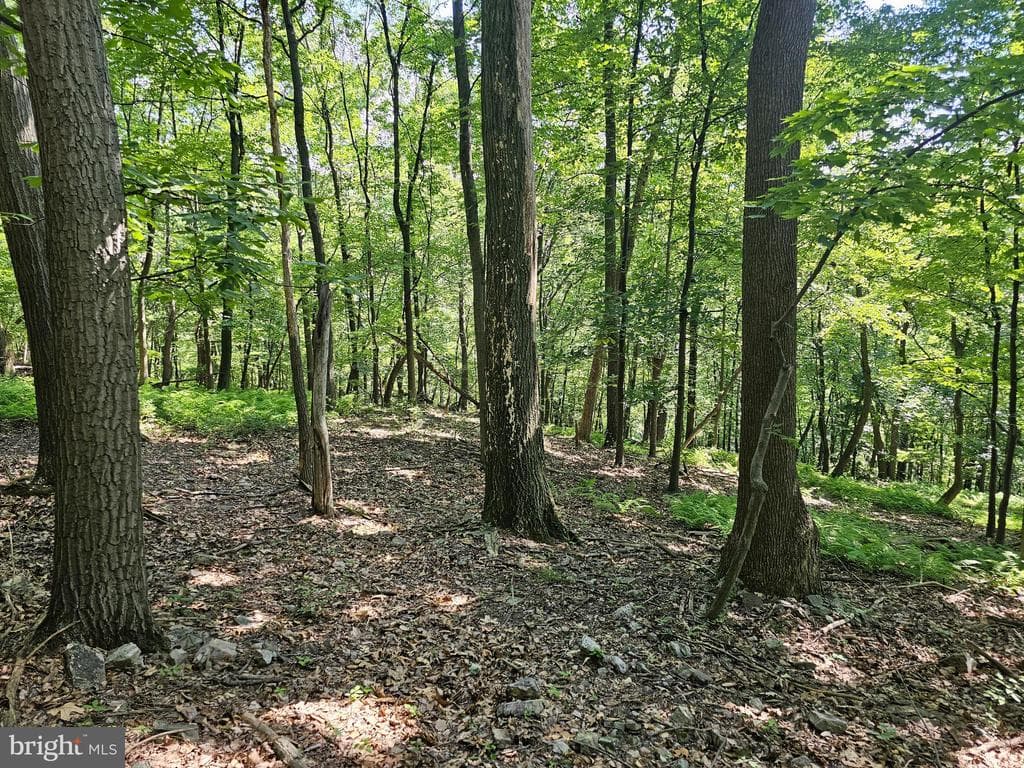 Property photo #28 for 14.25+/- Acres off Dry Run Rd, Mercersburg, PA 17236
