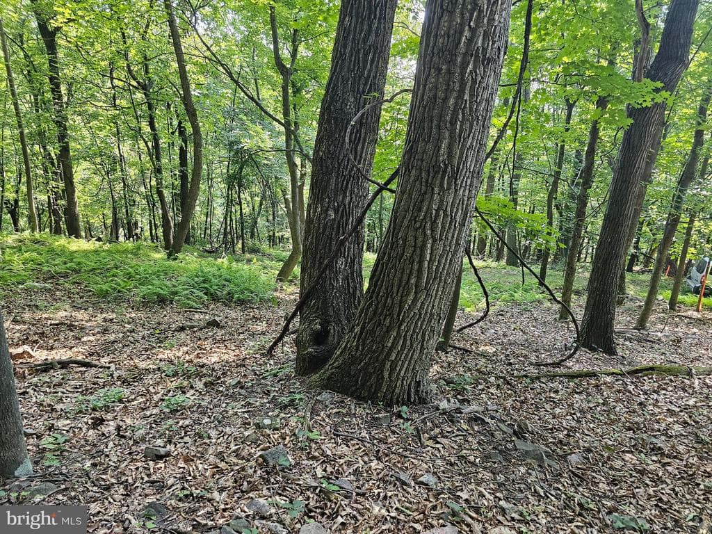 Property photo #29 for 14.25+/- Acres off Dry Run Rd, Mercersburg, PA 17236