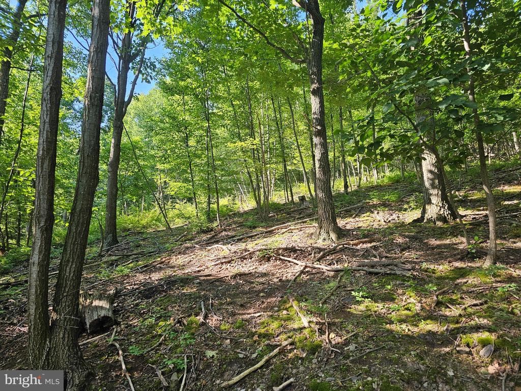 Property photo #3 for 14.25+/- Acres off Dry Run Rd, Mercersburg, PA 17236