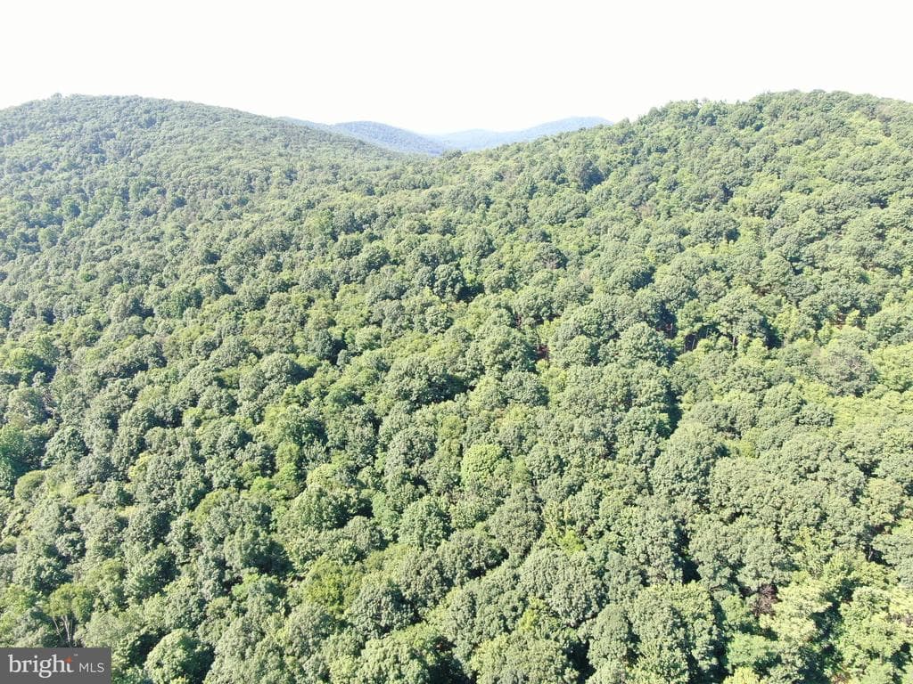 Property photo #30 for 14.25+/- Acres off Dry Run Rd, Mercersburg, PA 17236