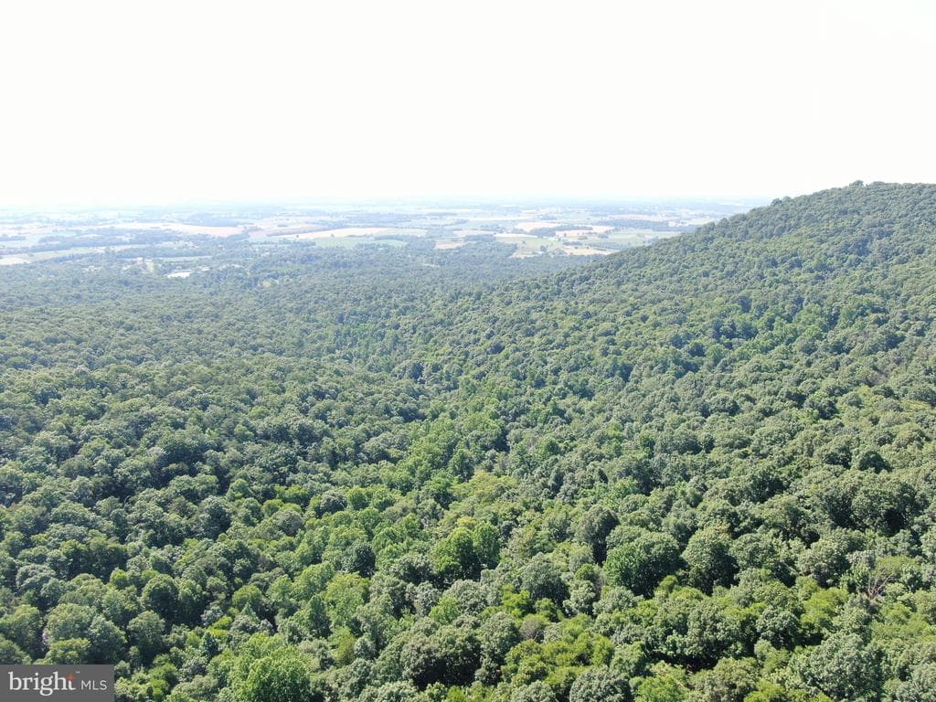 Property photo #35 for 14.25+/- Acres off Dry Run Rd, Mercersburg, PA 17236