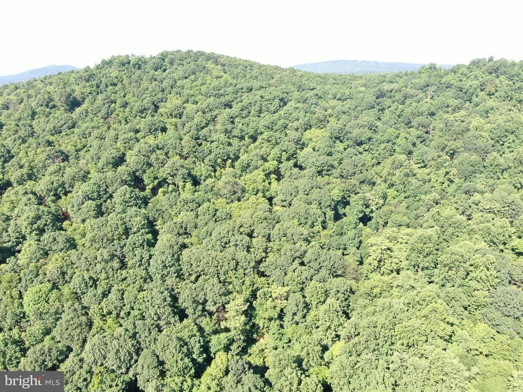 Property photo #37 for 14.25+/- Acres off Dry Run Rd, Mercersburg, PA 17236