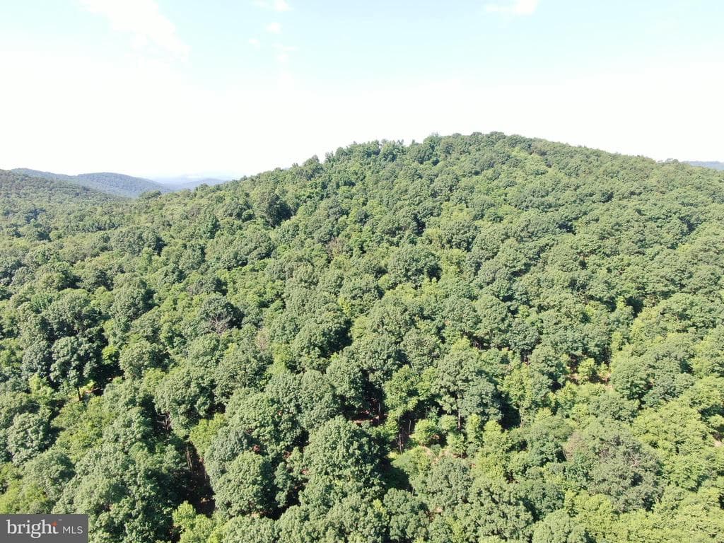 Property photo #38 for 14.25+/- Acres off Dry Run Rd, Mercersburg, PA 17236