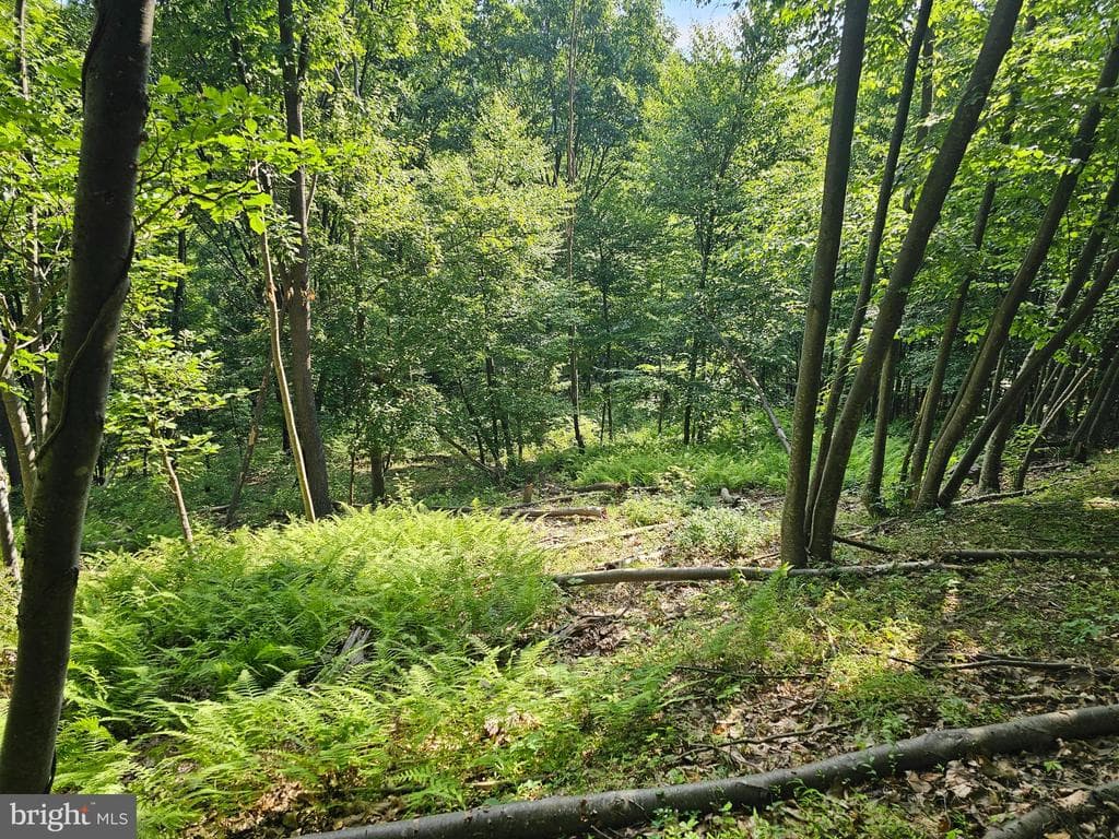 Property photo #4 for 14.25+/- Acres off Dry Run Rd, Mercersburg, PA 17236