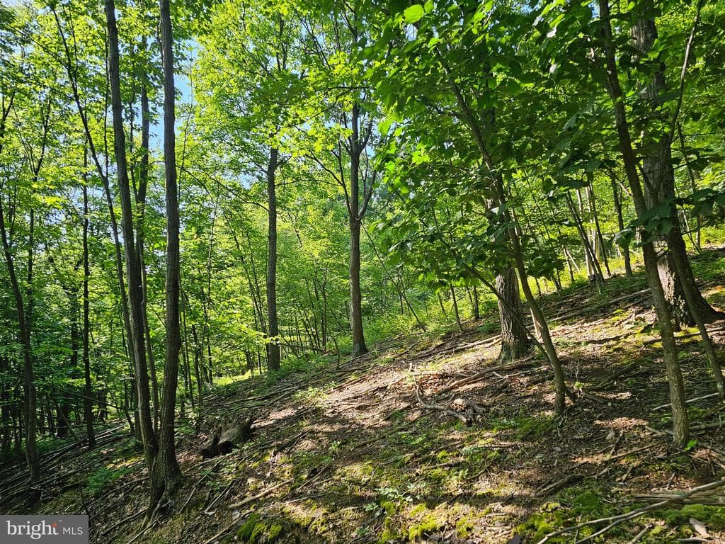 Property photo #5 for 14.25+/- Acres off Dry Run Rd, Mercersburg, PA 17236