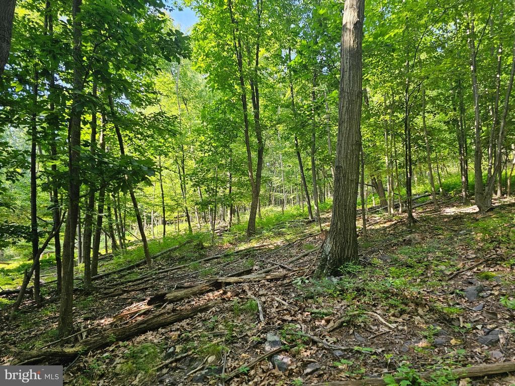 Property photo #6 for 14.25+/- Acres off Dry Run Rd, Mercersburg, PA 17236