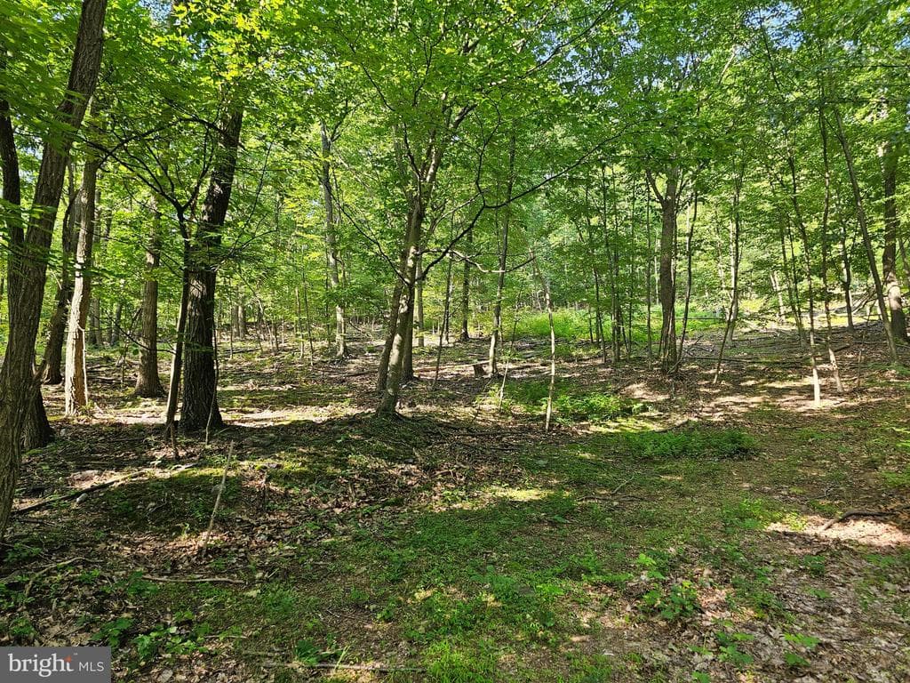 Property photo #7 for 14.25+/- Acres off Dry Run Rd, Mercersburg, PA 17236