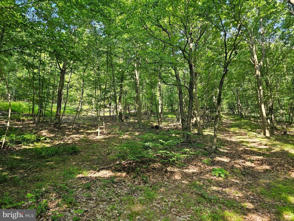 Property photo #8 for 14.25+/- Acres off Dry Run Rd, Mercersburg, PA 17236