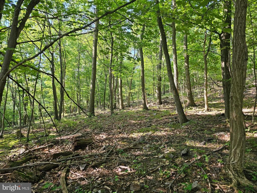 Property photo #9 for 14.25+/- Acres off Dry Run Rd, Mercersburg, PA 17236