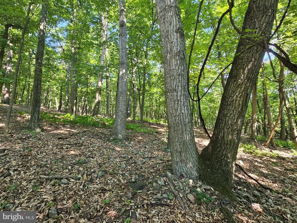 Property photo #0 for 14.25+/- Acres off Dry Run Rd, Mercersburg, PA 17236