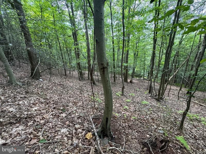 Property photo #1 for 170.2+/- Acres Coon Ridge Rd, Johnstown, PA 15901
