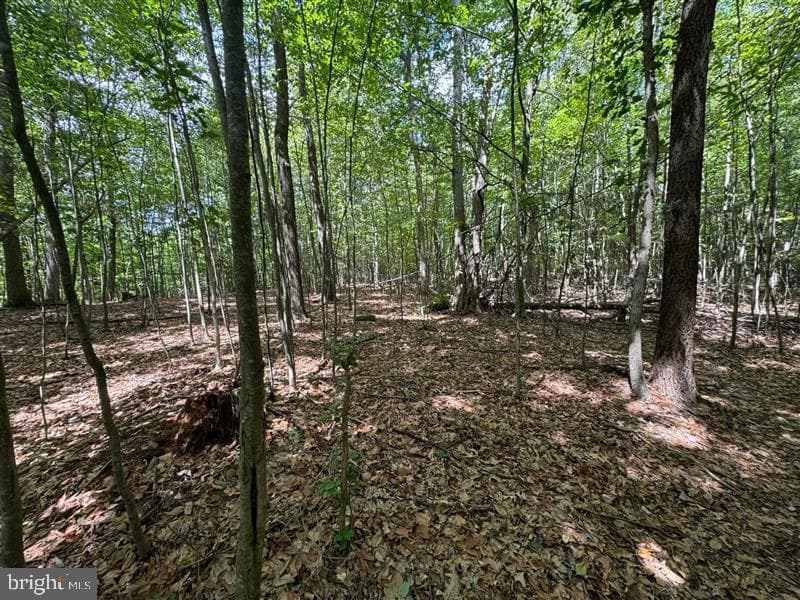 Property photo #10 for 170.2+/- Acres Coon Ridge Rd, Johnstown, PA 15901