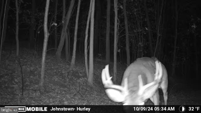 Property photo #100 for 170.2+/- Acres Coon Ridge Rd, Johnstown, PA 15901