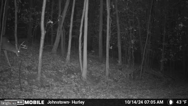Property photo #104 for 170.2+/- Acres Coon Ridge Rd, Johnstown, PA 15901