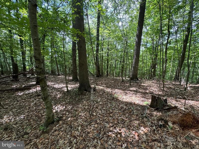 Property photo #11 for 170.2+/- Acres Coon Ridge Rd, Johnstown, PA 15901