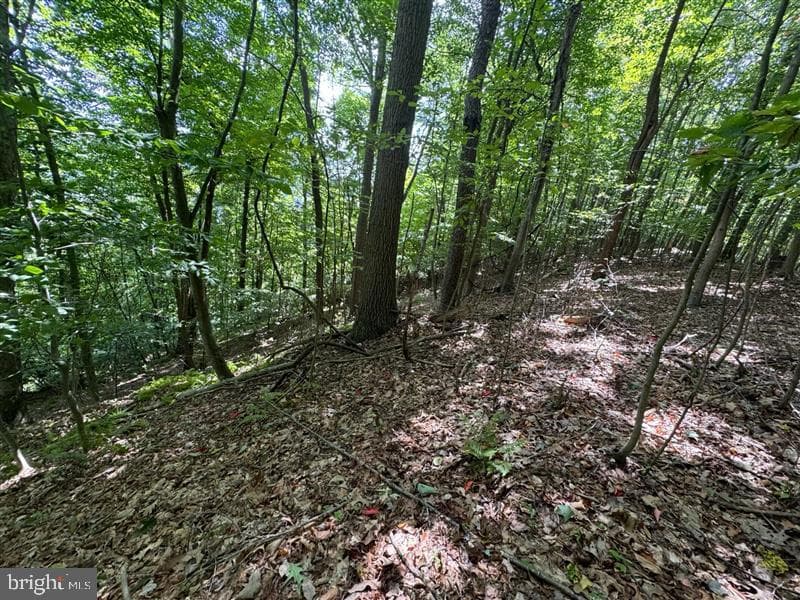 Property photo #12 for 170.2+/- Acres Coon Ridge Rd, Johnstown, PA 15901