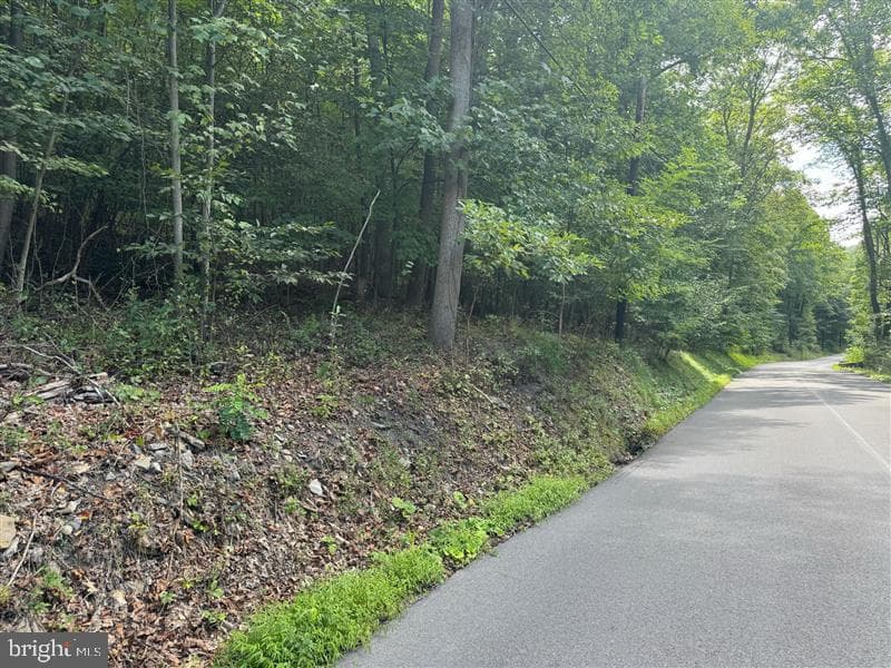 Property photo #13 for 170.2+/- Acres Coon Ridge Rd, Johnstown, PA 15901
