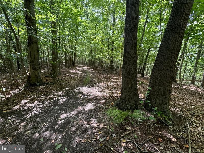 Property photo #15 for 170.2+/- Acres Coon Ridge Rd, Johnstown, PA 15901