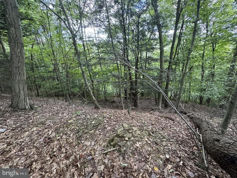 Property photo #2 for 170.2+/- Acres Coon Ridge Rd, Johnstown, PA 15901