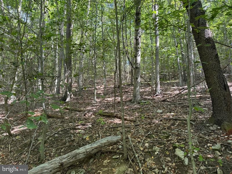 Property photo #20 for 170.2+/- Acres Coon Ridge Rd, Johnstown, PA 15901