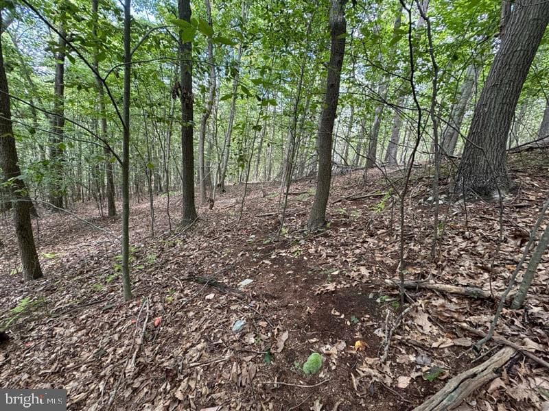 Property photo #21 for 170.2+/- Acres Coon Ridge Rd, Johnstown, PA 15901