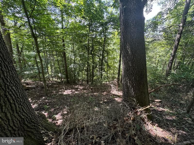 Property photo #22 for 170.2+/- Acres Coon Ridge Rd, Johnstown, PA 15901