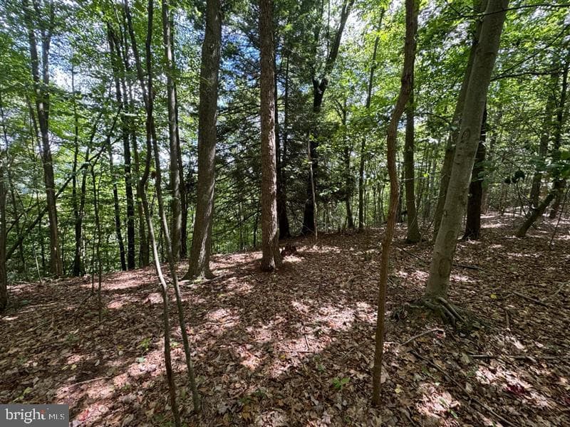 Property photo #23 for 170.2+/- Acres Coon Ridge Rd, Johnstown, PA 15901
