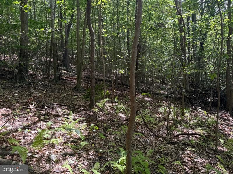 Property photo #24 for 170.2+/- Acres Coon Ridge Rd, Johnstown, PA 15901