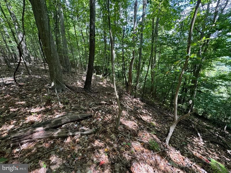 Property photo #25 for 170.2+/- Acres Coon Ridge Rd, Johnstown, PA 15901