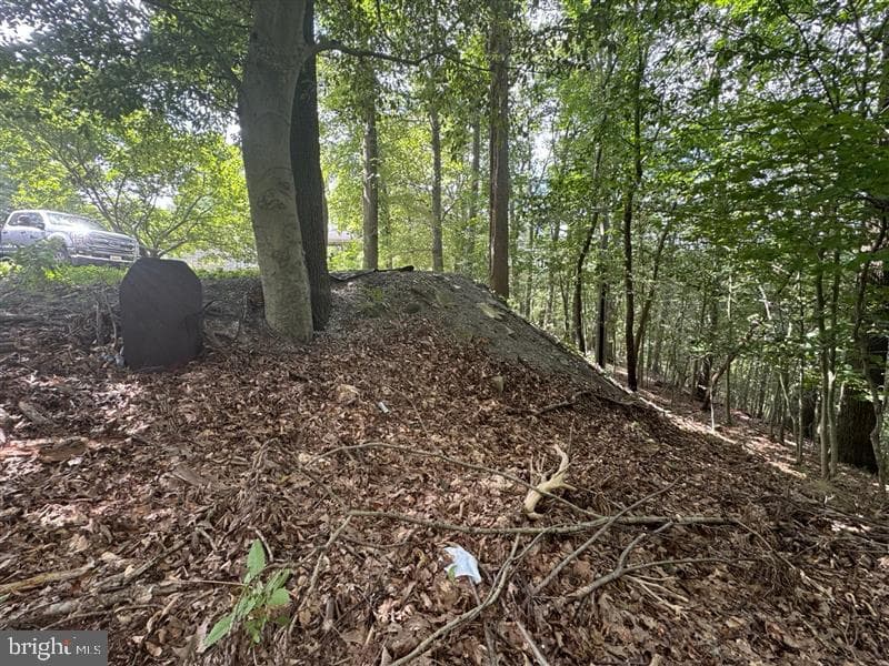 Property photo #26 for 170.2+/- Acres Coon Ridge Rd, Johnstown, PA 15901