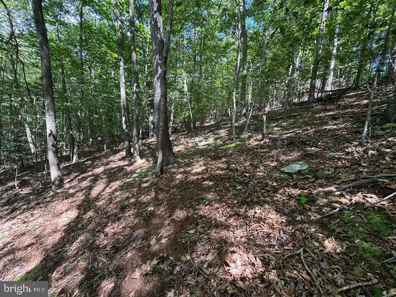 Property photo #27 for 170.2+/- Acres Coon Ridge Rd, Johnstown, PA 15901