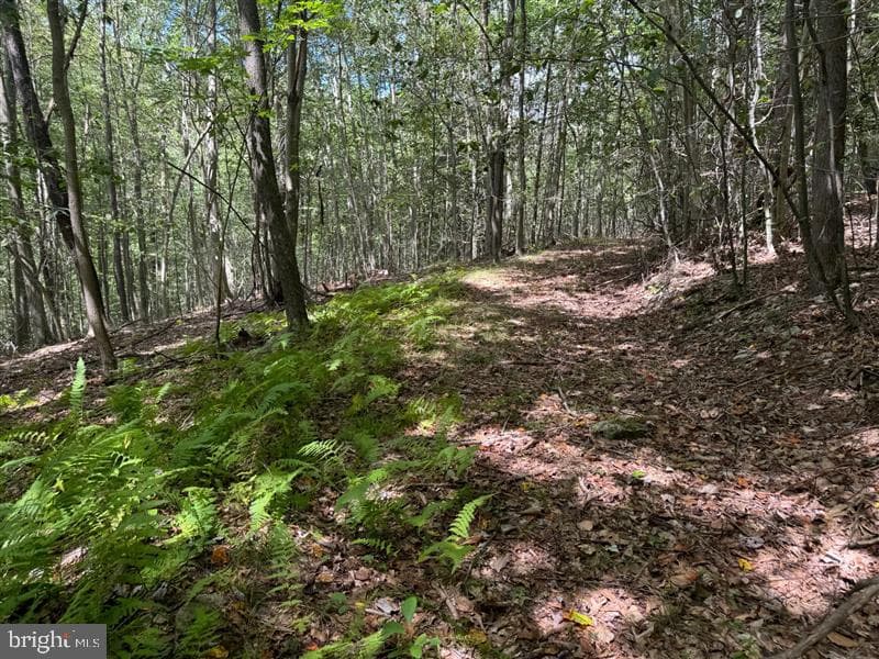 Property photo #28 for 170.2+/- Acres Coon Ridge Rd, Johnstown, PA 15901