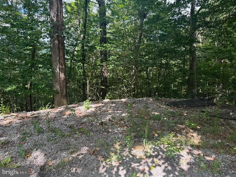 Property photo #29 for 170.2+/- Acres Coon Ridge Rd, Johnstown, PA 15901