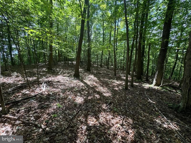 Property photo #3 for 170.2+/- Acres Coon Ridge Rd, Johnstown, PA 15901