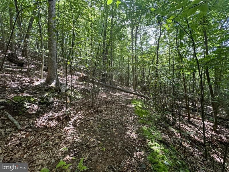 Property photo #30 for 170.2+/- Acres Coon Ridge Rd, Johnstown, PA 15901