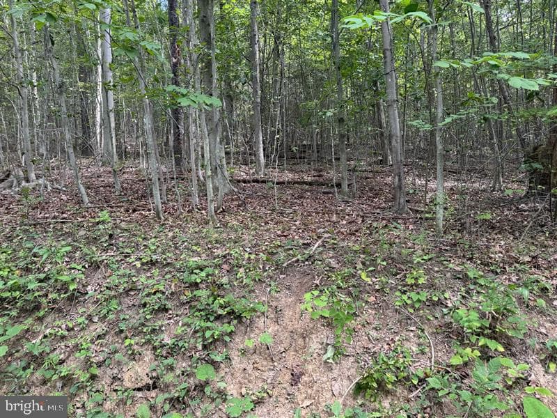 Property photo #31 for 170.2+/- Acres Coon Ridge Rd, Johnstown, PA 15901