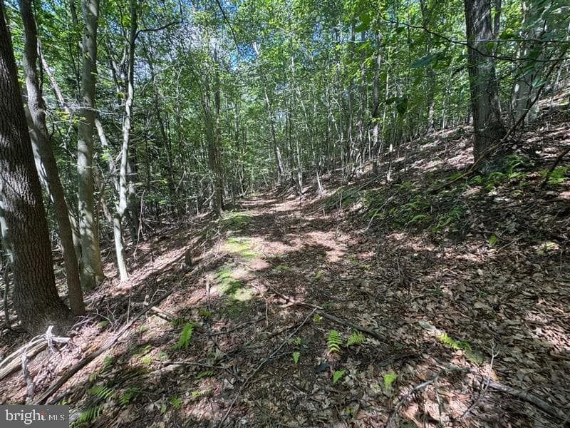 Property photo #32 for 170.2+/- Acres Coon Ridge Rd, Johnstown, PA 15901