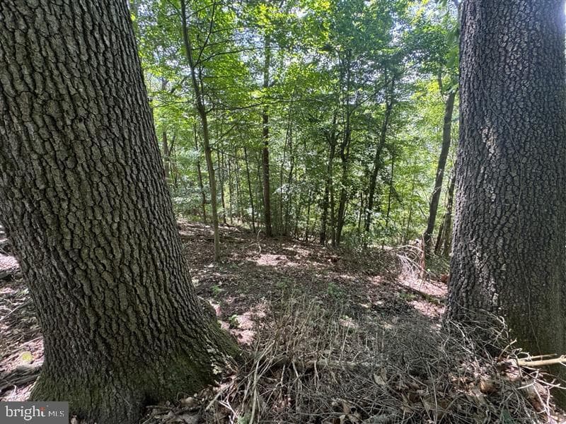 Property photo #35 for 170.2+/- Acres Coon Ridge Rd, Johnstown, PA 15901