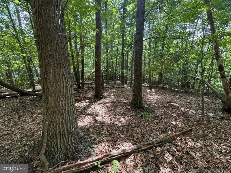 Property photo #36 for 170.2+/- Acres Coon Ridge Rd, Johnstown, PA 15901
