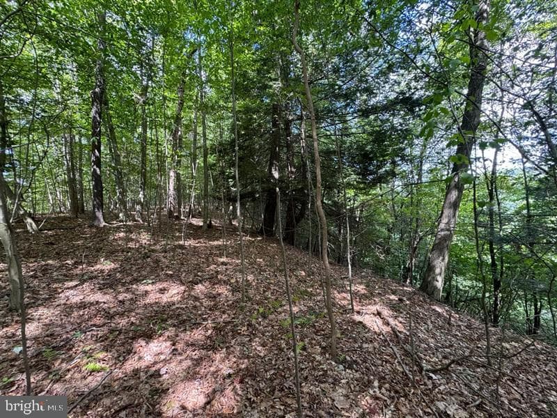 Property photo #37 for 170.2+/- Acres Coon Ridge Rd, Johnstown, PA 15901