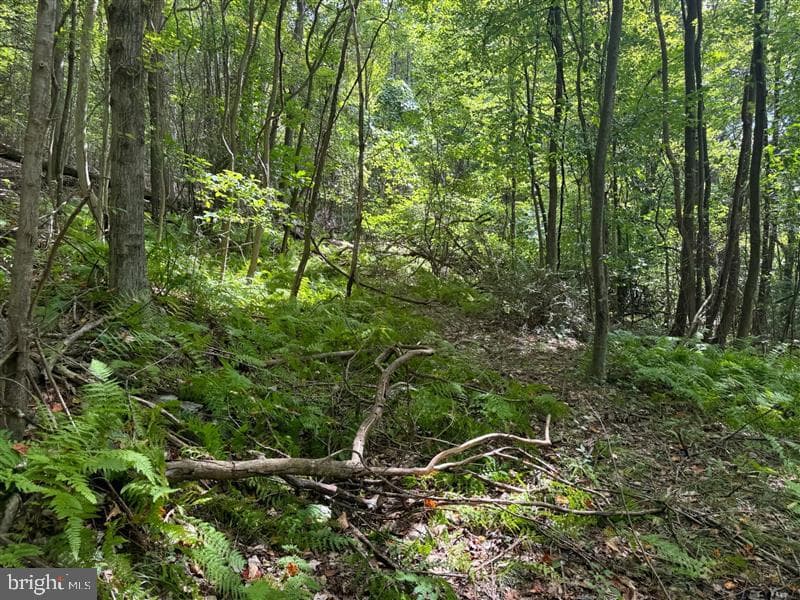 Property photo #38 for 170.2+/- Acres Coon Ridge Rd, Johnstown, PA 15901