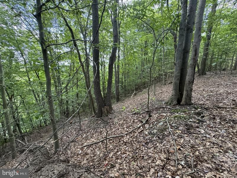 Property photo #39 for 170.2+/- Acres Coon Ridge Rd, Johnstown, PA 15901