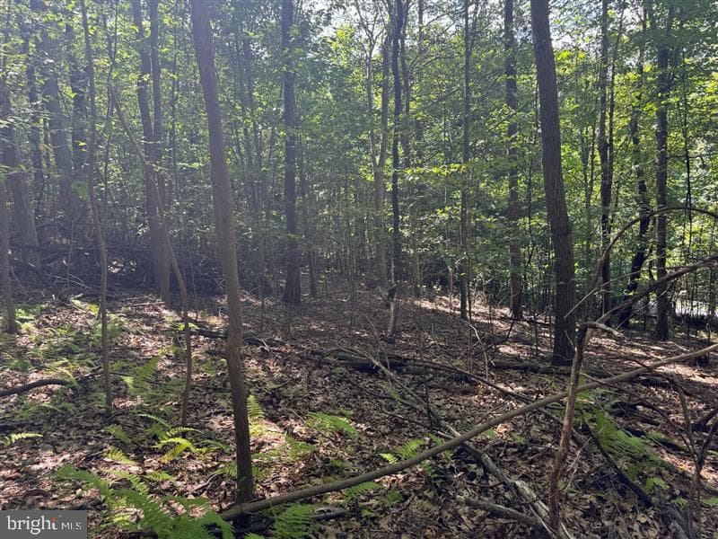 Property photo #40 for 170.2+/- Acres Coon Ridge Rd, Johnstown, PA 15901