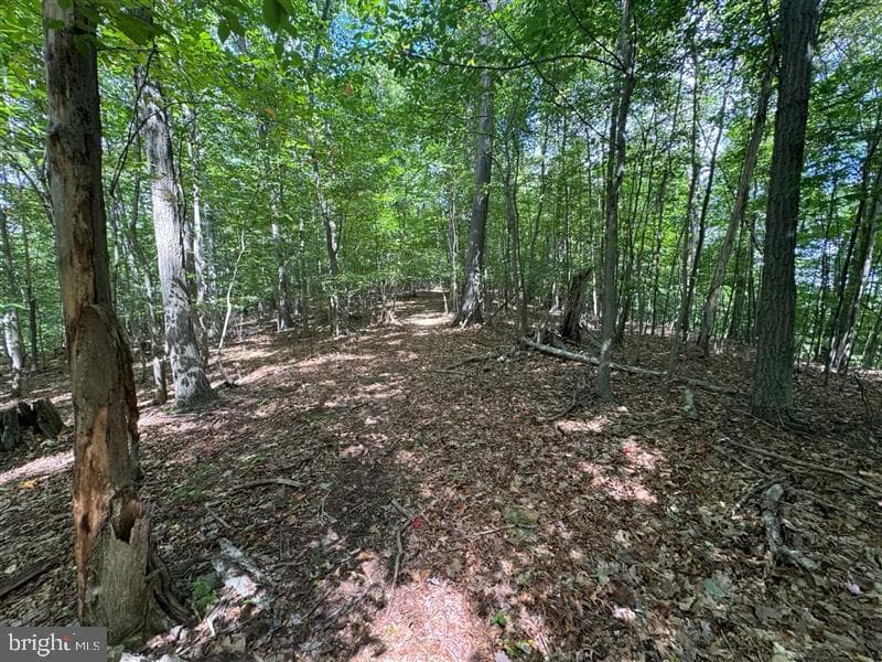 Property photo #41 for 170.2+/- Acres Coon Ridge Rd, Johnstown, PA 15901