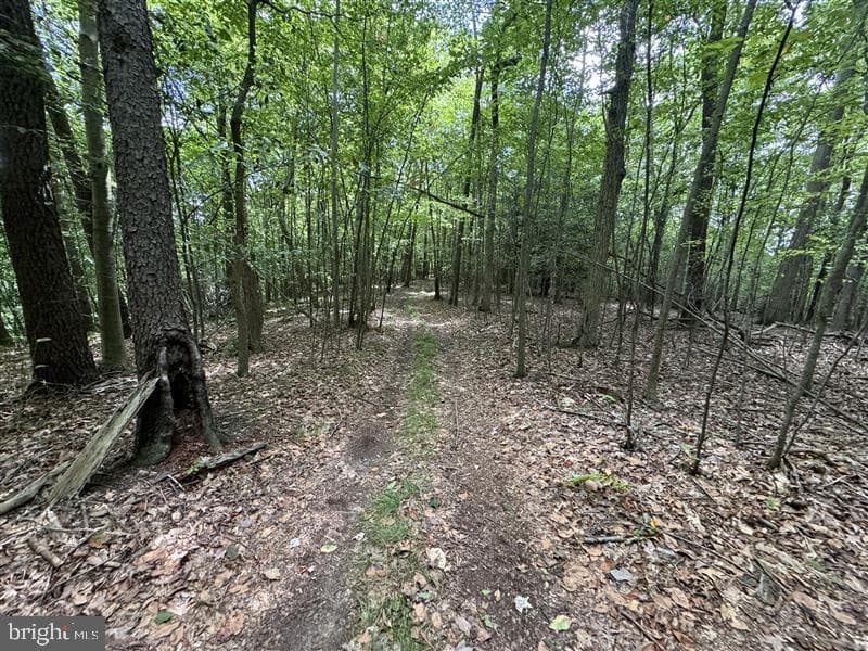 Property photo #42 for 170.2+/- Acres Coon Ridge Rd, Johnstown, PA 15901