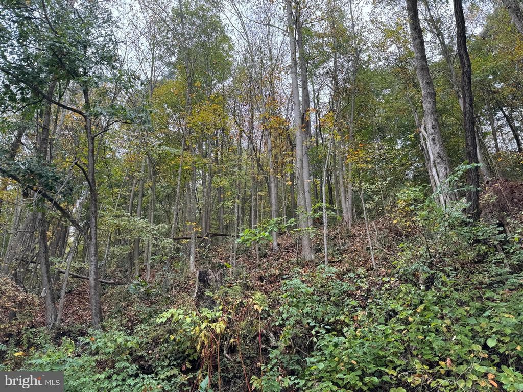 Property photo #43 for 170.2+/- Acres Coon Ridge Rd, Johnstown, PA 15901